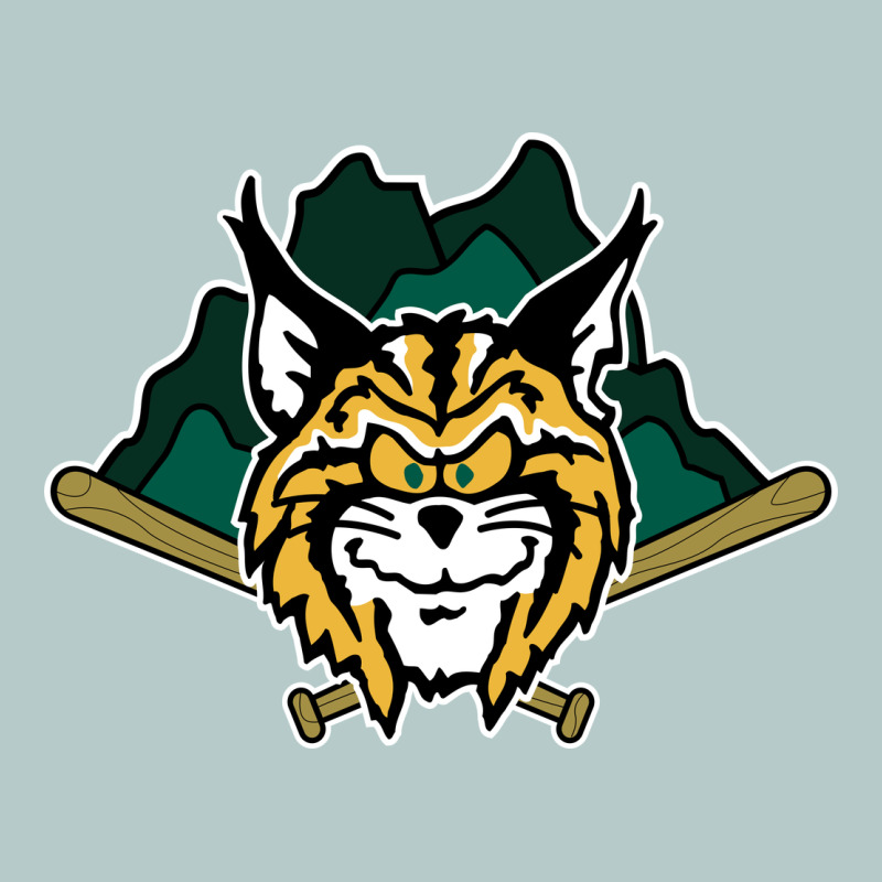 Lynchburg Hillcats Baseball Heavy Core Tee by linhVisuals | Teevron