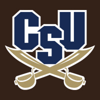 Charleston Southern Buccaneers Heavy Core Tee | Teevron