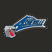 Unc Asheville Bulldogs Heavy Core Tee | Teevron