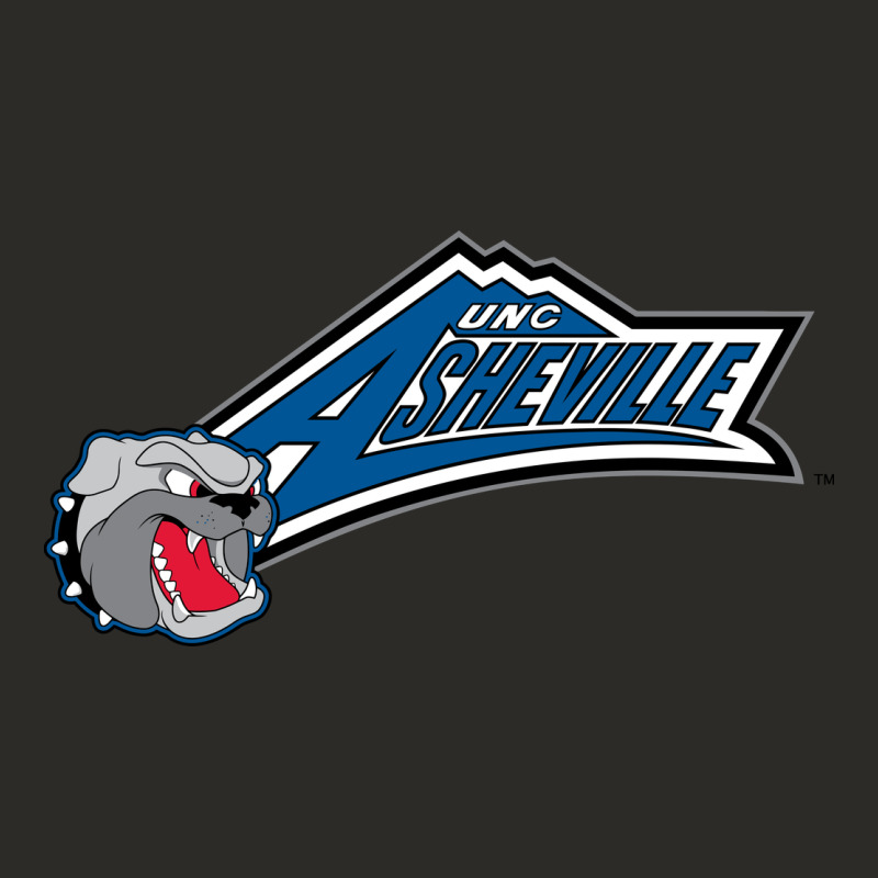 Unc Asheville Bulldogs Heavy Core Tee by linhVisuals | Teevron
