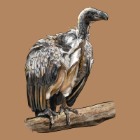 Vulture Bird Long Sleeve Tee | Teevron