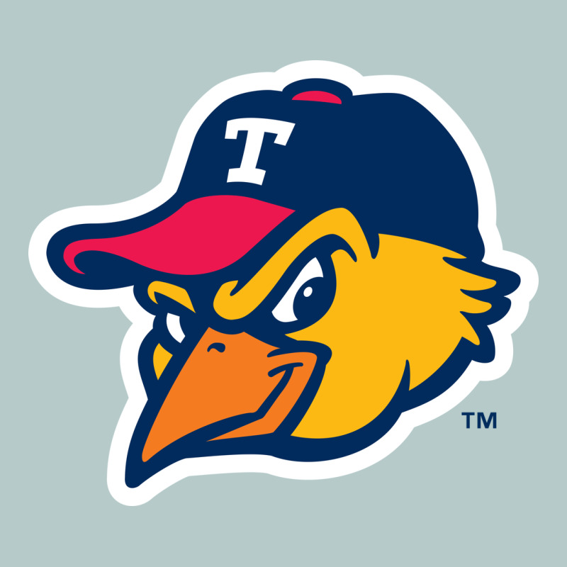Suitable-toledo-mud-hens-worn Heavy Core Tee by linhVisuals | Teevron