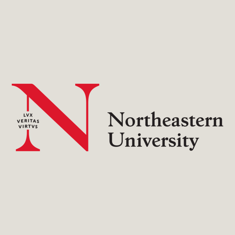 The The Northeastern Heavy Core Tee by linhVisuals | Teevron