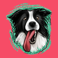 Border Collie Premium Sweatshirt | Teevron