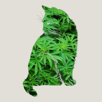 Funny Cannabis & Cat Lover Marijuana Weed Smoker Art T Shirt Heavy Core Tee | Teevron