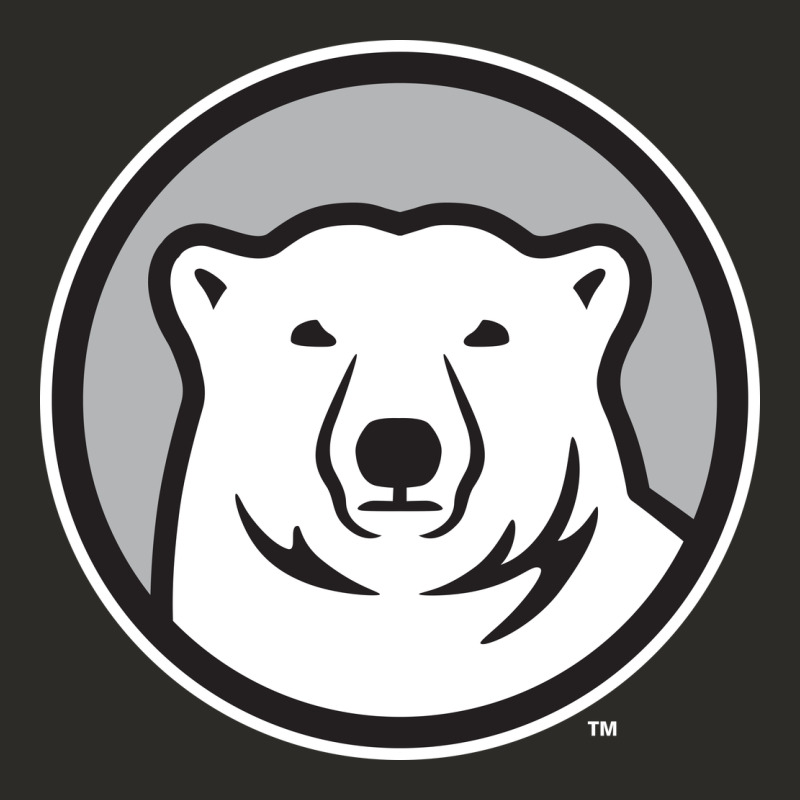 Bowdoin College Heavy Core Tee by linhVisuals | Teevron