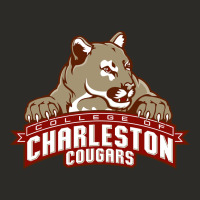 Charleston Cougars Heavy Core Tee | Teevron