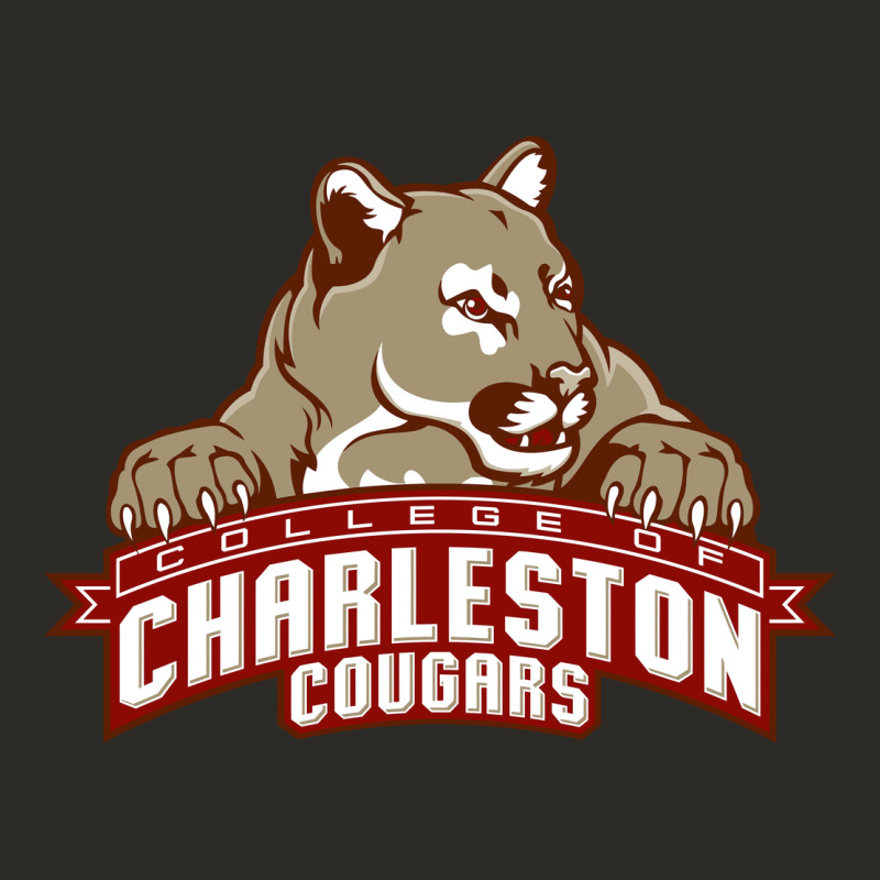 Charleston Cougars Heavy Core Tee by linhVisuals | Teevron