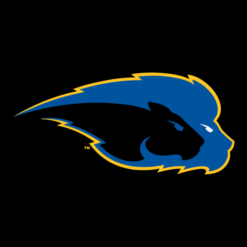 Hofstra Pride Heavy Core Tee by linhVisuals | Teevron