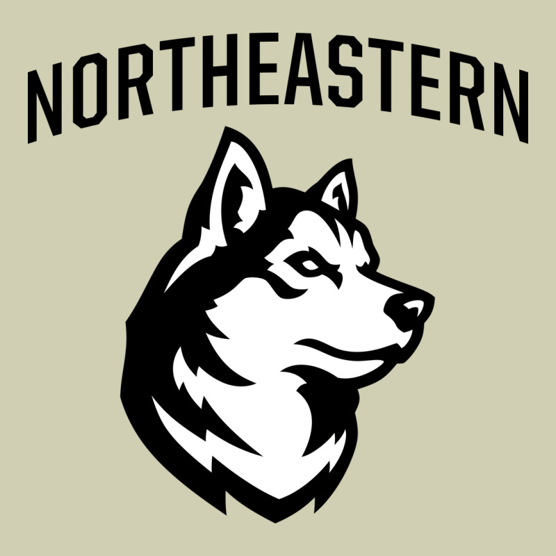 Northeastern Huskies Heavy Core Tee by linhVisuals | Teevron
