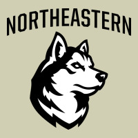 Northeastern Huskies Heavy Core Tee | Teevron