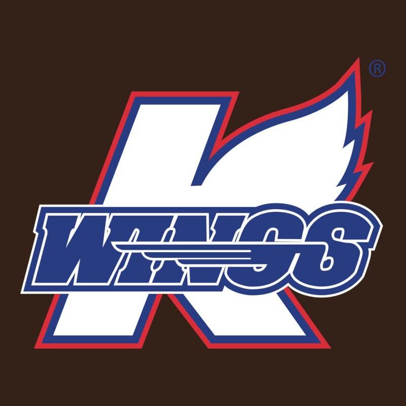 Kalamazoo Ice Hockey Heavy Core Tee by linhVisuals | Teevron