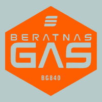 Beratnas Gas Heavy Core Tee | Teevron