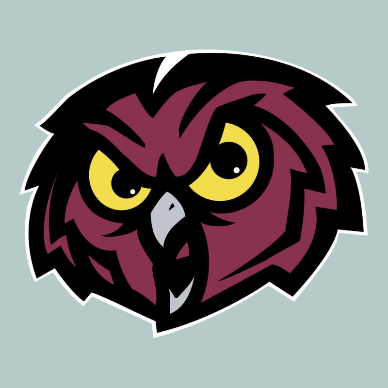 Temple Owls Heavy Core Tee by linhVisuals | Teevron
