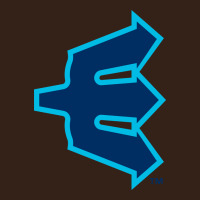 Everett Aquasox Heavy Core Tee | Teevron