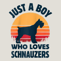 Schnauzer Just A Boy Who Loves Dogs Men Retro Vintage Sunset Raglan Ba Heavy Core Tee | Teevron