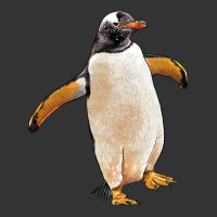 penguin | Teevron