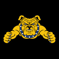 North Carolina A&t Aggies Heavy Core Tee | Teevron