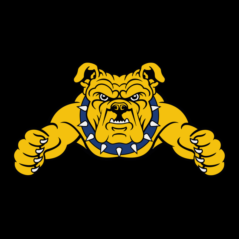 North Carolina A&t Aggies Heavy Core Tee by linhVisuals | Teevron