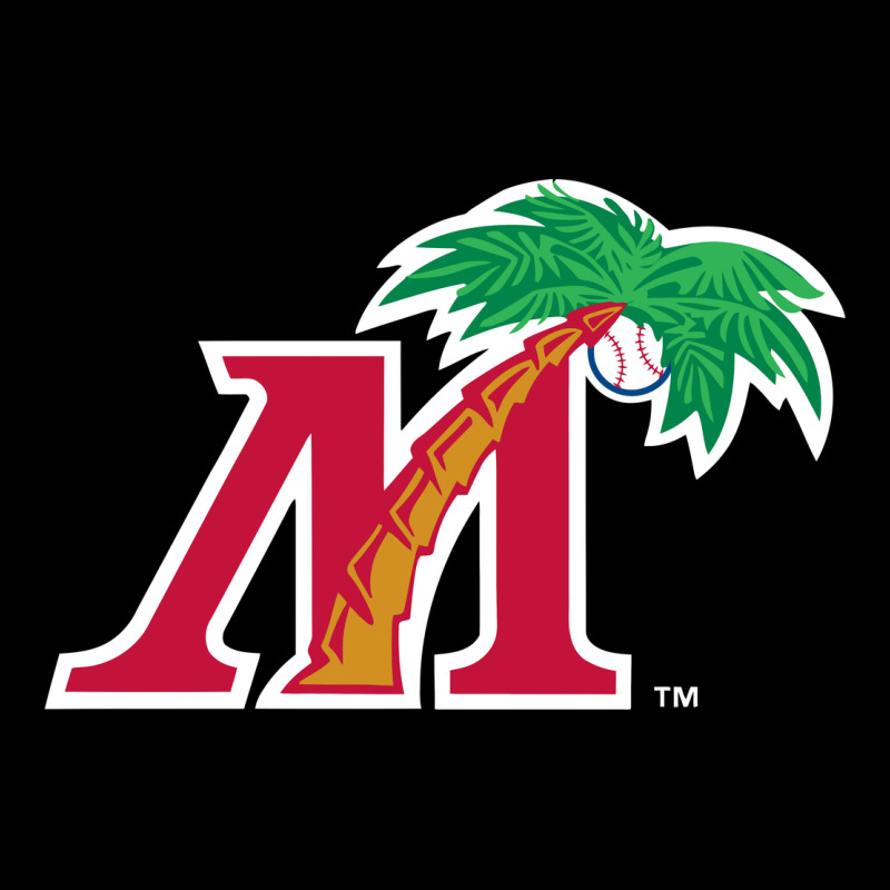 Fort Myers Miracle Heavy Core Tee by linhVisuals | Teevron