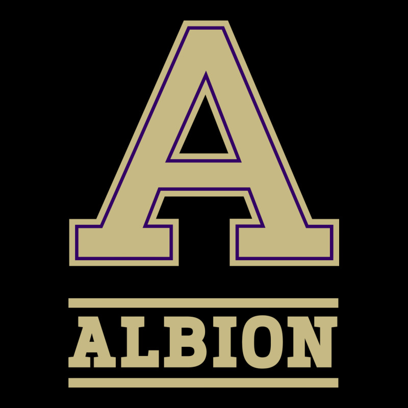 Albion College Athleticpurple Heavy Core Tee by linhVisuals | Teevron