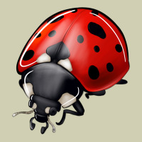 Ladybug Heavy Core Tee | Teevron