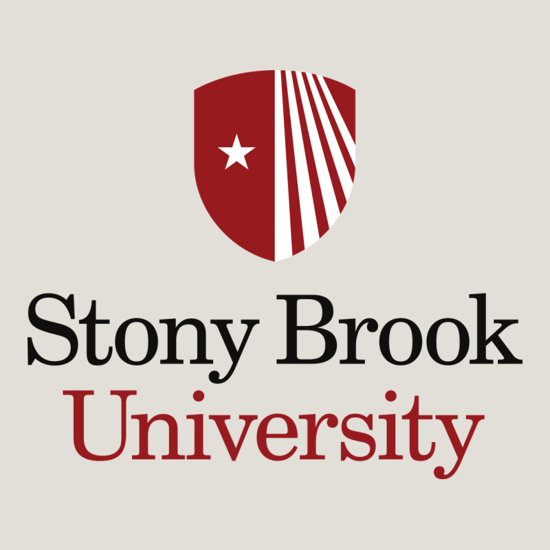 Stony Brook University Heavy Core Tee by linhVisuals | Teevron