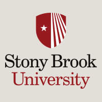 Stony Brook University Heavy Core Tee | Teevron