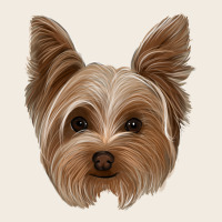 Yorkie Premium Sweatshirt | Teevron