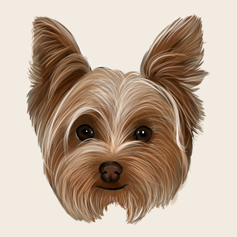 Yorkie Premium Sweatshirt by Jasminsmagicworld | Teevron