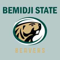 Bemidji State Beavers, Gear Heavy Core Tee | Teevron