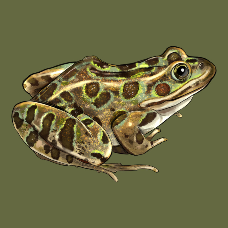 Northern Leopard Frog Long Sleeve Tee by LillyAllenDesigns | Teevron