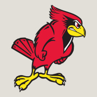 Illinois State Redbirds Heavy Core Tee | Teevron