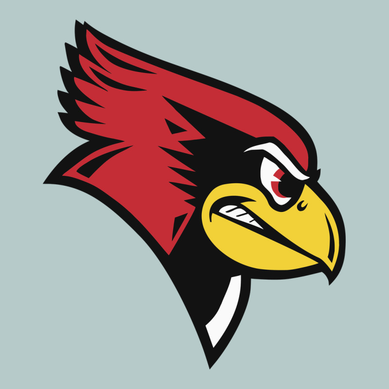 Illinois State Redbirds Heavy Core Tee by linhVisuals | Teevron