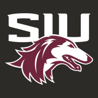 Southern Illinois Salukis Heavy Core Tee | Teevron