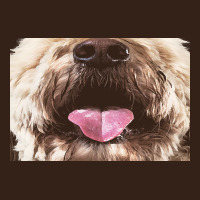 Labradoodle T  Shirtfunny Labradoodle Face Mask Funny Dog Mouth T  Shi Heavy Core Tee | Teevron