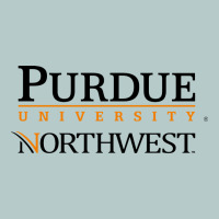 Purdue University Northwest Heavy Core Tee | Teevron