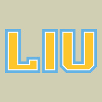 Long Island University Sharks Heavy Core Tee | Teevron
