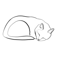 Sleeping Cat Line Art | Teevron