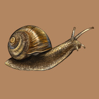 Snail Long Sleeve Tee | Teevron