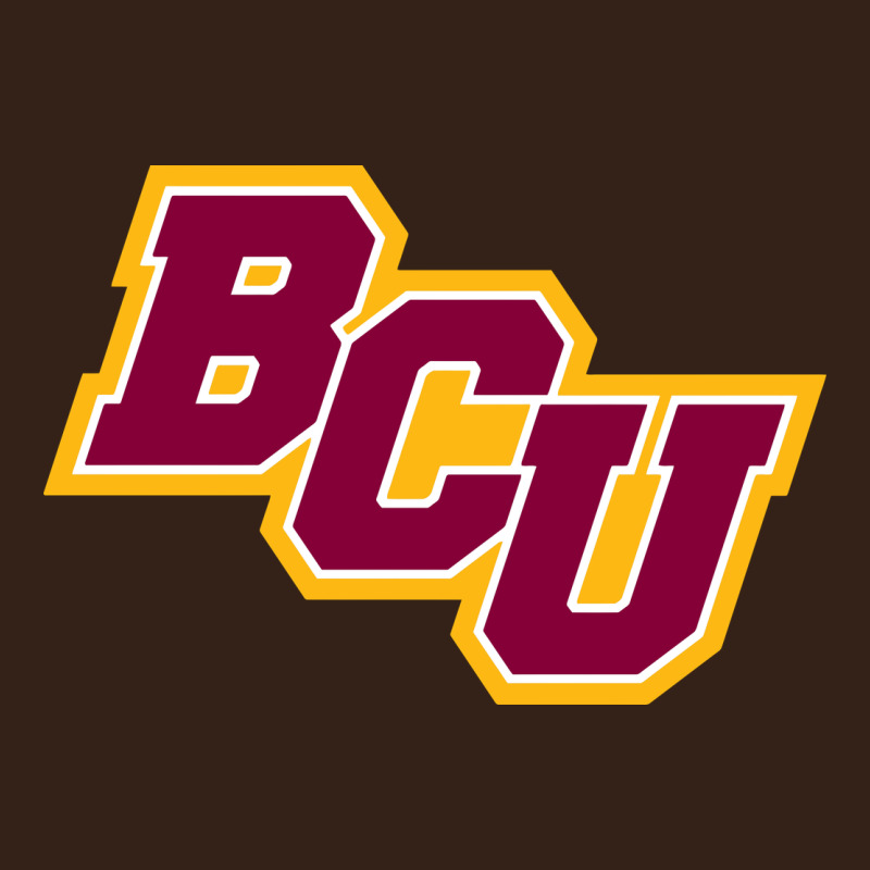 Bethune Cookman Heavy Core Tee by linhVisuals | Teevron