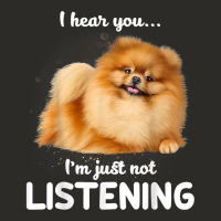 Pomeranian I Hear You Not Listening T Shirt Heavy Core Tee | Teevron