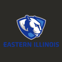 Eastern Illinois Panthers Heavy Core Tee | Teevron