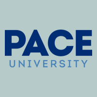 Pace University Heavy Core Tee | Teevron