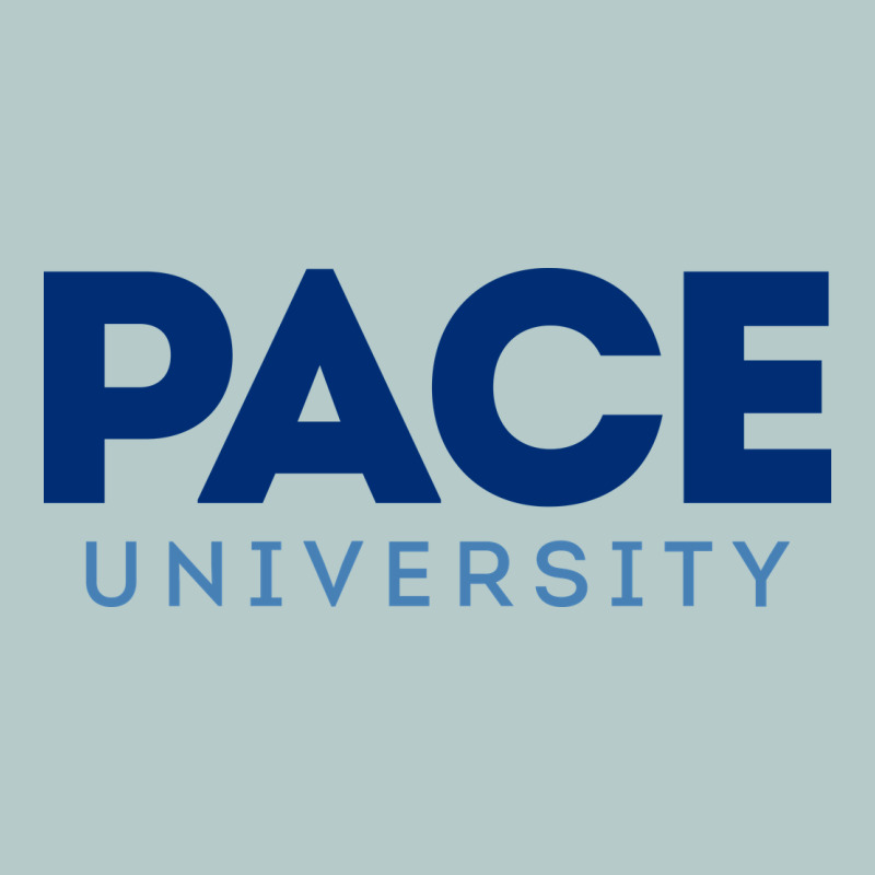 Pace University Heavy Core Tee by linhVisuals | Teevron