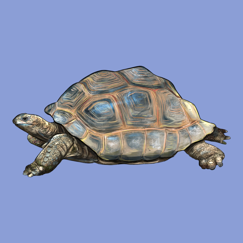 Tortoise Illustrations Long Sleeve Tee by LillyAllenDesigns | Teevron