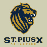 St Pius X High School Athletics Heavy Core Tee | Teevron