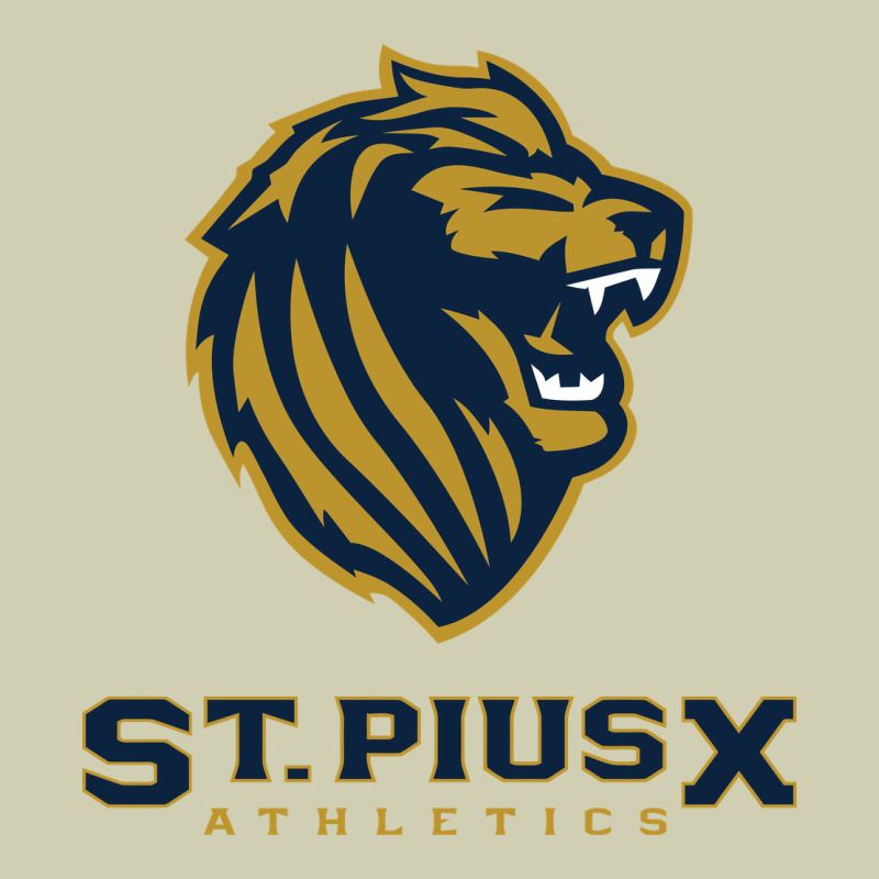 St Pius X High School Athletics Heavy Core Tee by linhVisuals | Teevron
