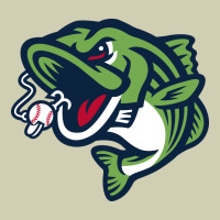 Gwinnett Stripers Heavy Core Tee | Teevron