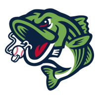 gwinnett stripers | Teevron